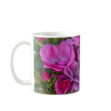 Lavender Pink Rose