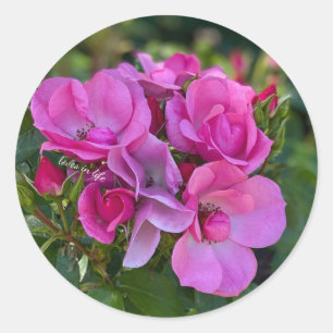 Lavender Pink Rose Runder Aufkleber