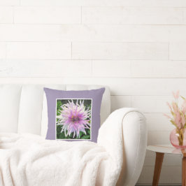 LAVENDER-PINK UND WEISSE DAHLIA AUF DER TRAUBENBKG KISSEN