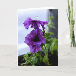 Lavender Shadow Fairy Feiertagskarte