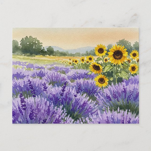 Lavender Sonnenblumen Feld Sommerprovence Postkart Postkarte (Vorderseite)
