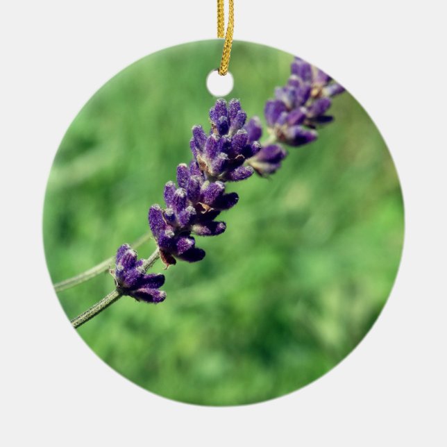 Lavender Stalk Photo Circle Ornement (Devant)