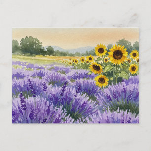 Lavender Sunflower Field Summer Provence Carte pos