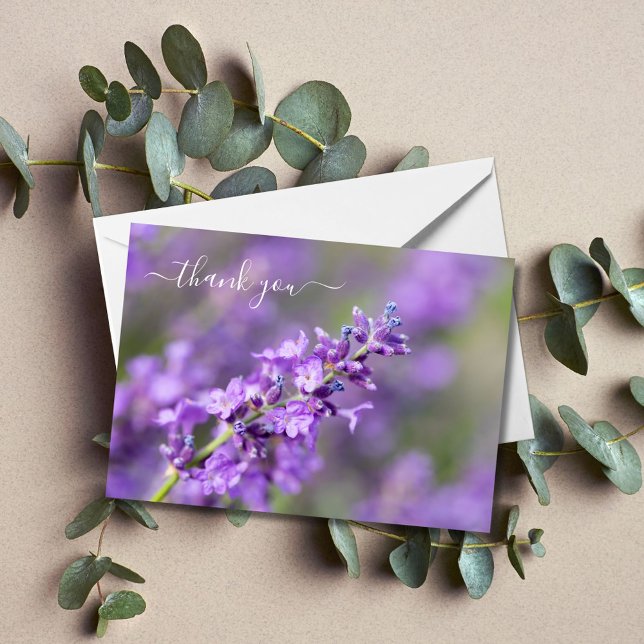 Lavender Vielen Dank (Von Creator hochgeladen)