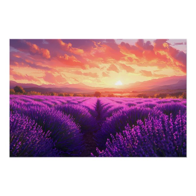 Lavenderfeld in der Provence Poster (Vorderseite)
