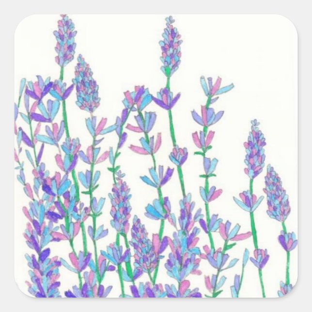 Lavenderfeldkleber Quadratischer Aufkleber (Vorderseite)