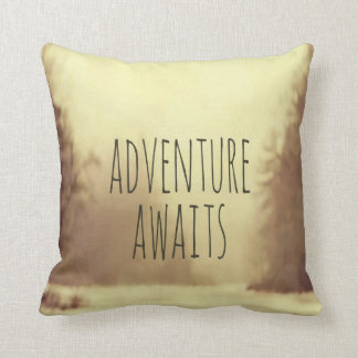 L'aventure attend le coussin II