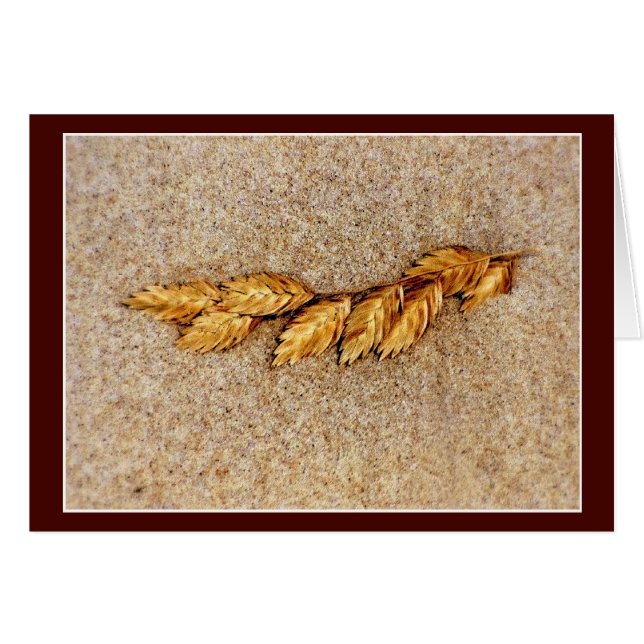 L'avoine Et Le Sable (Devant horizontal)