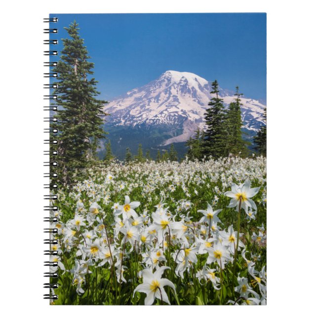 Lawinenlilie und Rainier 2 Notizblock (Vorderseite)