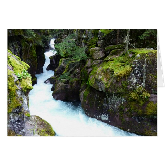 Lawinenschlucht I im Glacier-Nationalpark (Vorderseite (Horizontal))