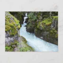 Lawinenschlucht I im Glacier-Nationalpark Postkarte