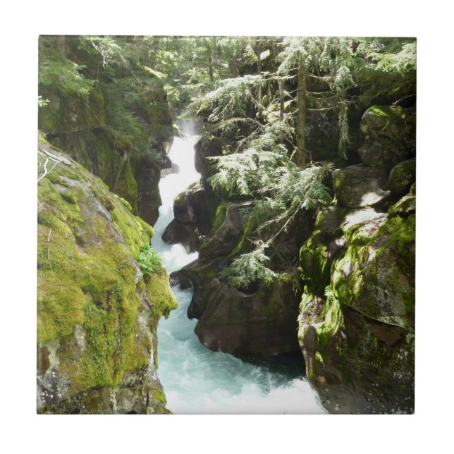 Lawinenschlucht II am Glacier-Nationalpark Fliese (Vorderseite)