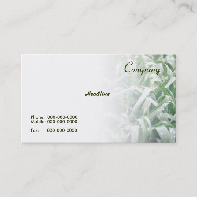 Lawn Business Card Visitenkarte (Vorderseite)