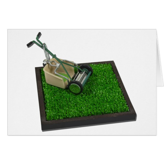 LawnmowerOnTheGrass100711 (Devant horizontal)