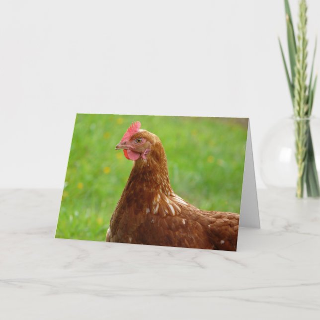 Lay Hen Rhode Island Red Chicken Karte (Vorderseite)
