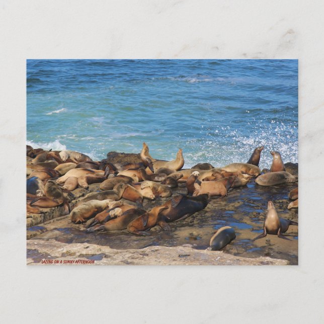 Lazing On A Sunny Afternoon Postkarte (Vorderseite)