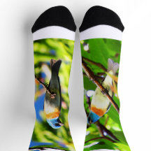 Lazuli-Ammer Socken