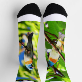Lazuli-Ammer Socken