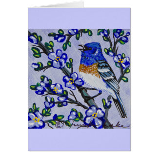 Lazuli Bunting