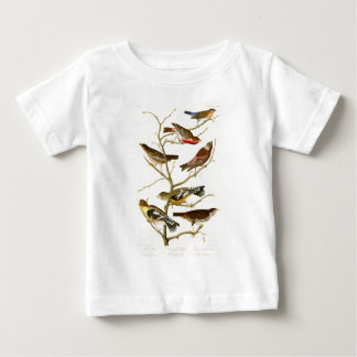 Lazuli-Fink-John James Audubon-Vögel von Amerika Baby T-shirt