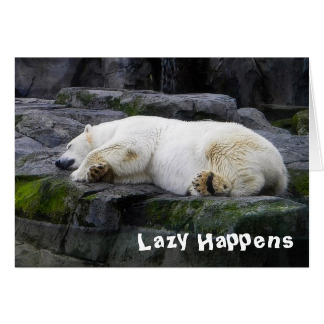Lazy arrive Ours Polaire (Devant horizontal)