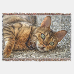 Lazy Bengalisch Cat Decke