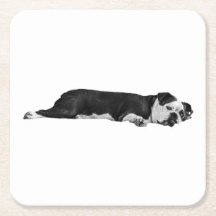 Lazy Bulldog, hübscher Tisch Rechteckiger Pappuntersetzer