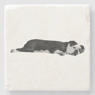 Lazy Bulldog, hübscher Tisch Steinuntersetzer