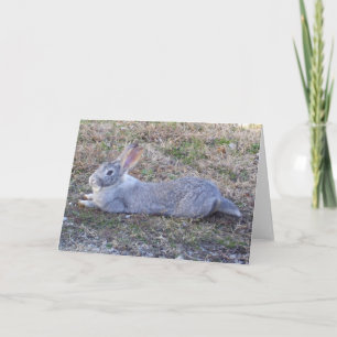 Lazy Bunny Greeting Karte