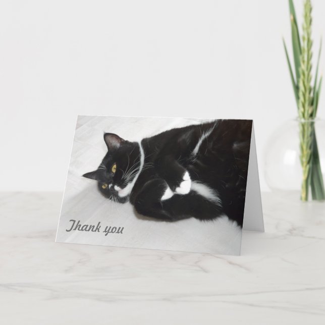Lazy cat carte de remerciements (Devant)