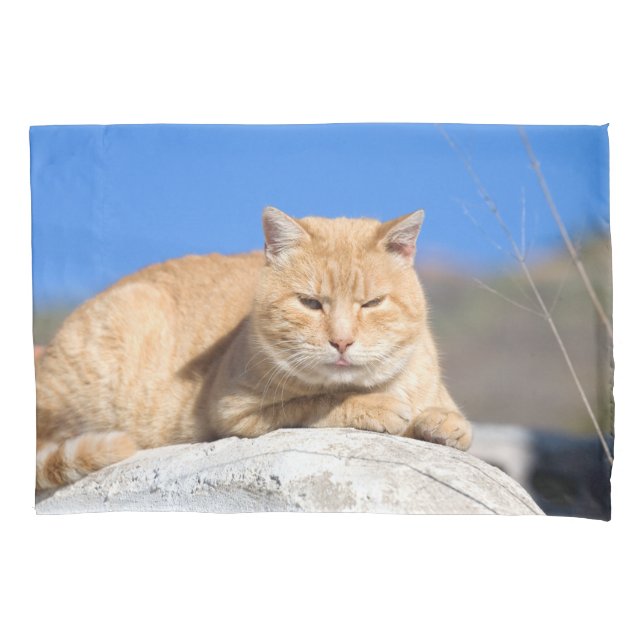 Lazy Cat Kissenbezug (Vorderseite)