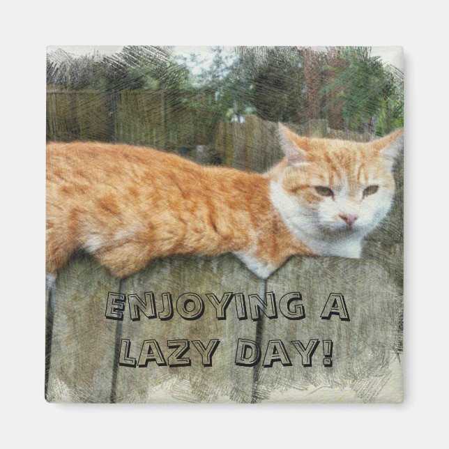 Lazy Cat Magnet (Vorne)