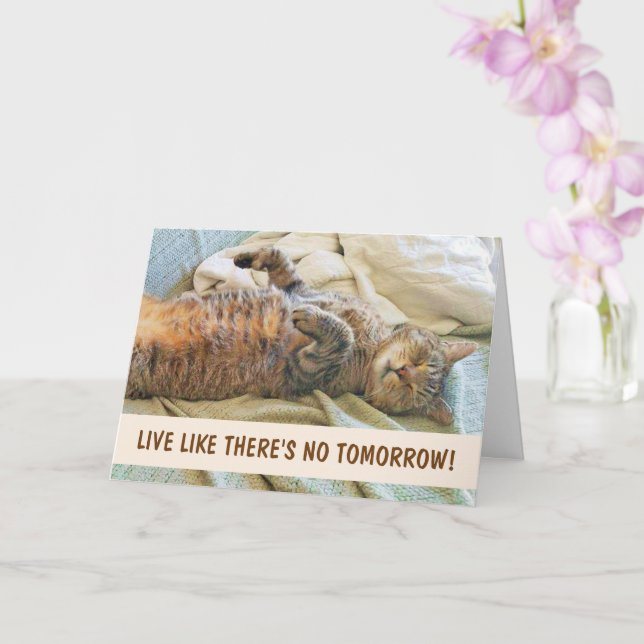 Lazy Cat Philosophie Geburtstag Karte (Orchidee)