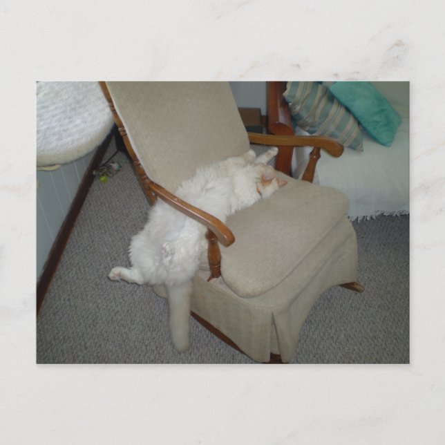 Lazy Cat Postkarte (Vorderseite)