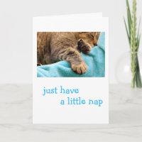 Lazy Cat schlafen wird gut