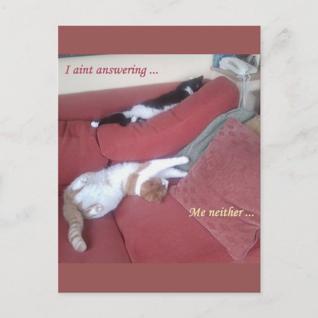Lazy Cats Fun Postkarte - Catnap (Vorderseite)