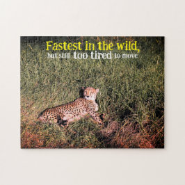 Lazy cheetah Foto