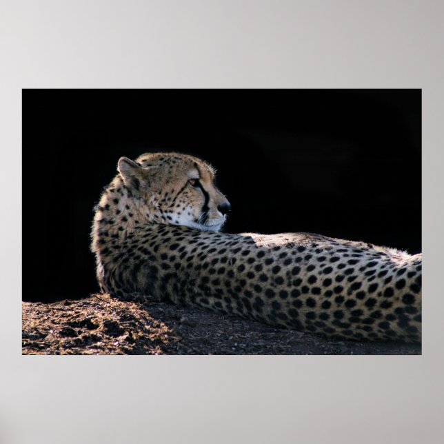 Lazy Day Poster (Vorne)