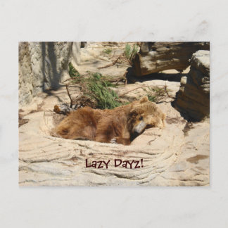 Lazy Dayz Bear Postkarte