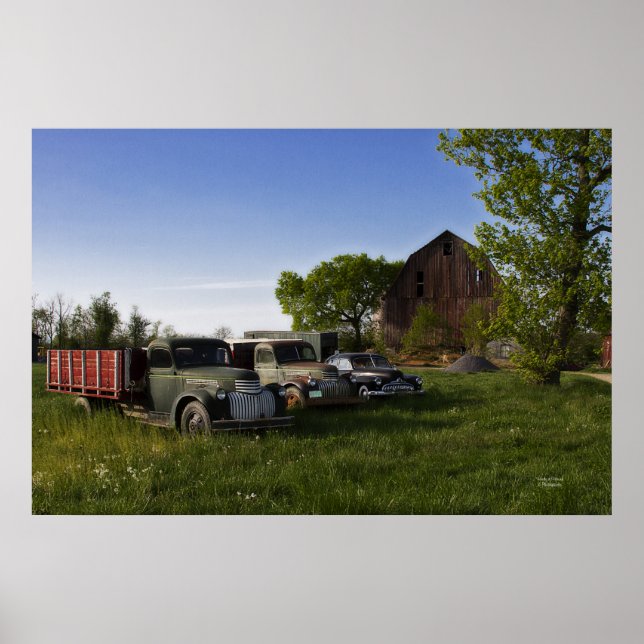 Lazy Dayz Poster (Vorne)