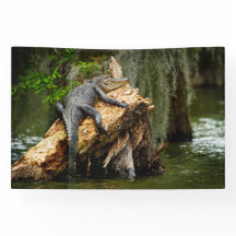 Lazy Gator 4x6' Banner
