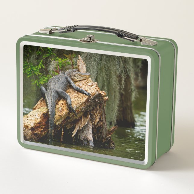 Lazy Gator Cypress Suamp Lunch Box von DeGruy (Vorderseite)