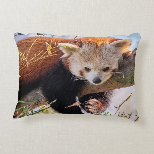 Lazy kleine rote Panda Dekokissen (Rückseite)
