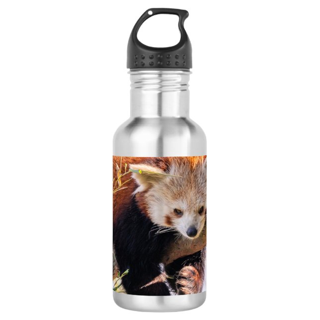 Lazy kleine rote Panda Edelstahlflasche (Vorderseite)