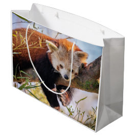 Lazy kleine rote Panda Große Geschenktüte