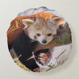 Lazy kleine rote Panda Rundes Kissen