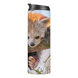 Lazy kleine rote Panda Thermosbecher