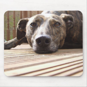 Lazy Lurcher Mousepad