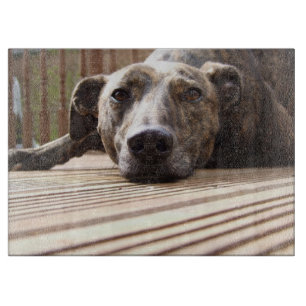 Lazy Lurcher Schneidebrett