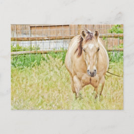 Lazy Morning Postkarte